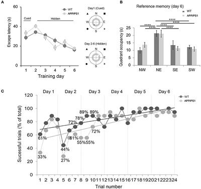 Unraveling Early Signs of Navigational Impairment in APPswe/PS1dE9 Mice Using Morris Water Maze